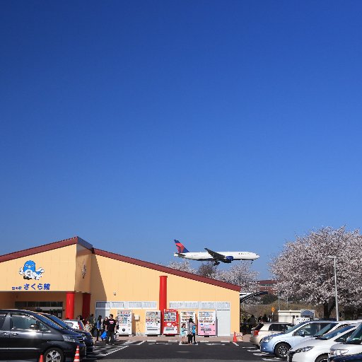 さくらの山さくら館は、成田空港A滑走路の北側に位置し、飛行機の離発着を間近で体感することが出来ます。
また、春の桜に始まり、四季折々の花と飛行機を一緒に撮影することが出来、千葉眺望１００景に選ばれている人気スポットです。