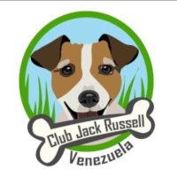 JackRussellVzla(@JackRussellVzla) 's Twitter Profile Photo