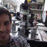 NeuroTejeda's profile picture. Neuroscientist. Views are my own.