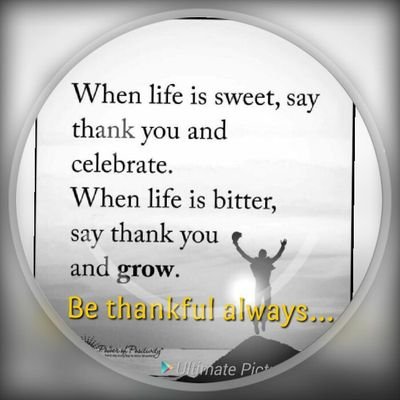 shikha_pahuja's profile picture. 