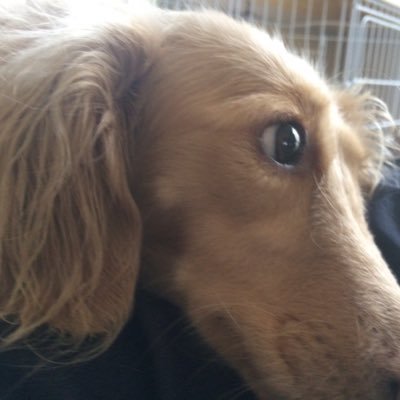 softbase16's profile picture. 春から福岡大学 経済学部経済学科