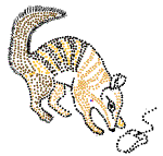 numbatmark's profile picture. 