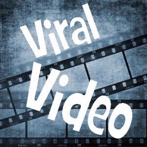 VIRAL VIDEO CHANNEL