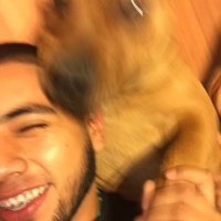 José (@josesixk) 's Twitter Profile