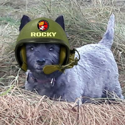 Iz Pvt. Rocky @ZombieSquadHQ #zshq
Protector of hoomans, sausages n cuztard
Speciality iz defendin da skies