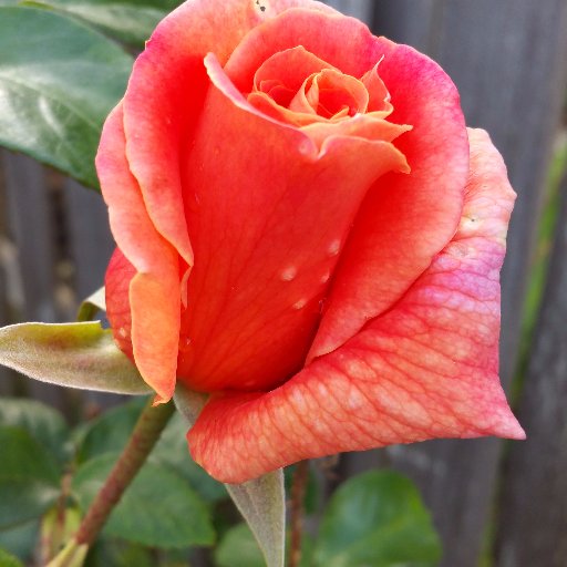 TAwrites's profile picture. Writer of fantasy, science fiction, adventure.
Co-host of #140line