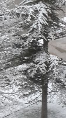 gulnur_yildiz's profile picture. Acı sadece Acı