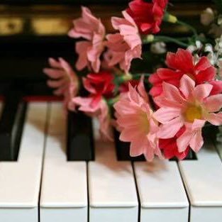 曲を作ろうとしたが何から手をつけていいか全くわからない鍵盤弾き語りの私が、たった30日でライブで歌える曲を作れるようになった作曲法を徹底解剖!!現在ブログを更新中です。全てを詰め込んで、あなたの音楽ライフを激変させます!只今無料レポート配付中です!先着順なのでお早めに!