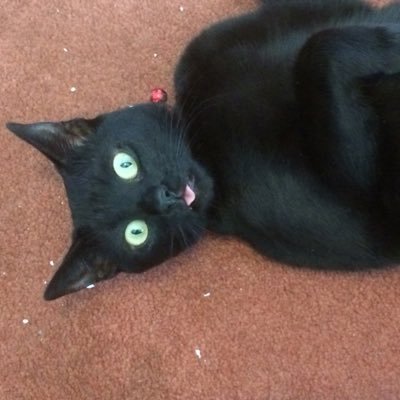 DannyDangle's profile picture. 