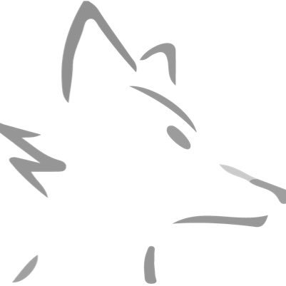 TheFlyingFox5's profile picture. A creative outlook on your aviation needs