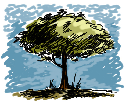 BrasilVerdee's profile picture. Instituto Brasileiro de Florestas