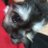 HIDE2012813's profile image