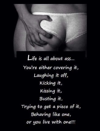 NightHero9's profile picture. هربان من عالم الواقع .. انا هنا بس عشان اعيش سابق عهدى و كما اردت ان اكون .. مفيش قيود مفيش حدود . ✋