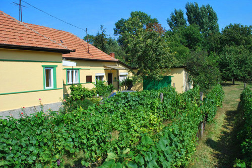 Hongarijehuis is het account van http://t.co/1ujSLEurQR. Beleef een topvakantie in Hongarije vanuit een vakantiehuis in Hongarije.
