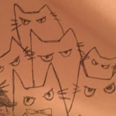 異文化のそらさんだよ。猫だよ。鍵垢だよ。