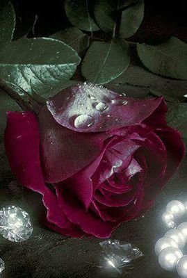 mahen2005's profile picture. Arts & Culture