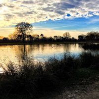 Bushy Park Photos (@bushyparkphoto) 's Twitter Profile