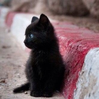 PH_AIWS_JD's profile picture. [ 의사 / 하이리 / 192cm / 평균 -4 ]