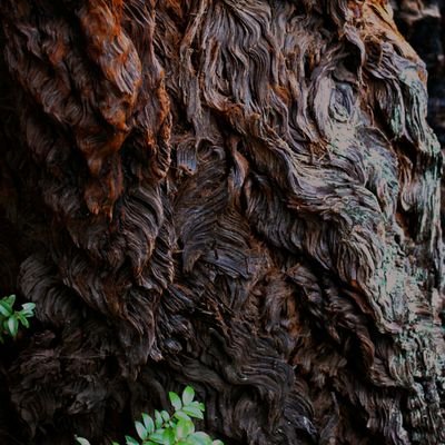 y54dev's profile picture. ‏