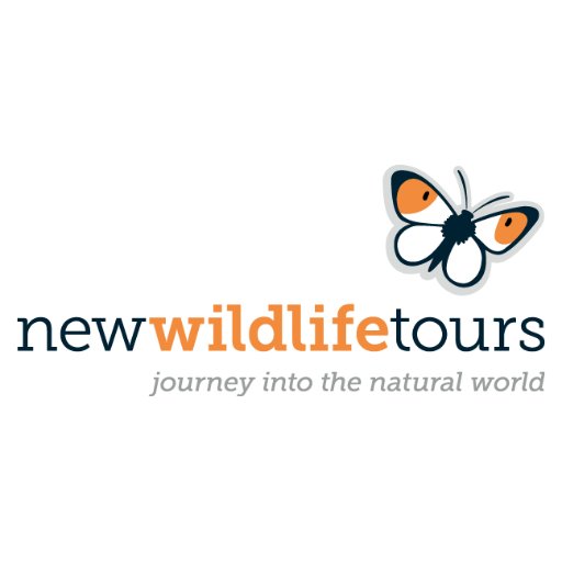 New Wildlife Tours offers day trips to see wildlife UK SW Coast, Somerset levels, the Cotswolds and Wiltshire's nationally important chalk downland.