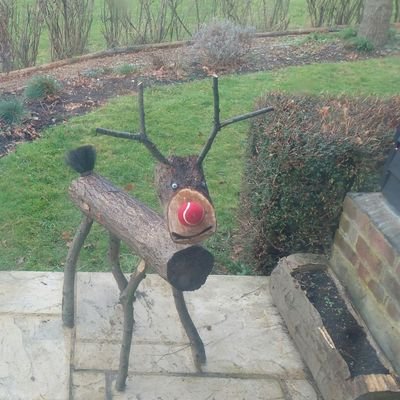 RuislipWoodsNNR's profile picture. 