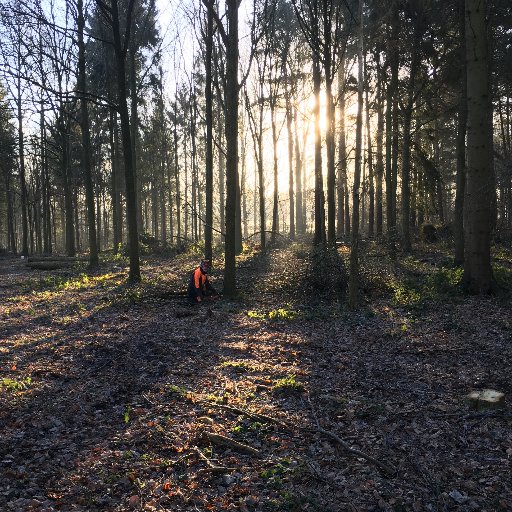 WTTS_Richard's profile picture. Design and installation of bespoke timber buildings & landscape features; woodland management; and the supply of quality timber in the round and freshly sawn.