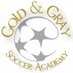 Gold & Gray Soccer Academy (@GoldandGraySA) Twitter profile photo