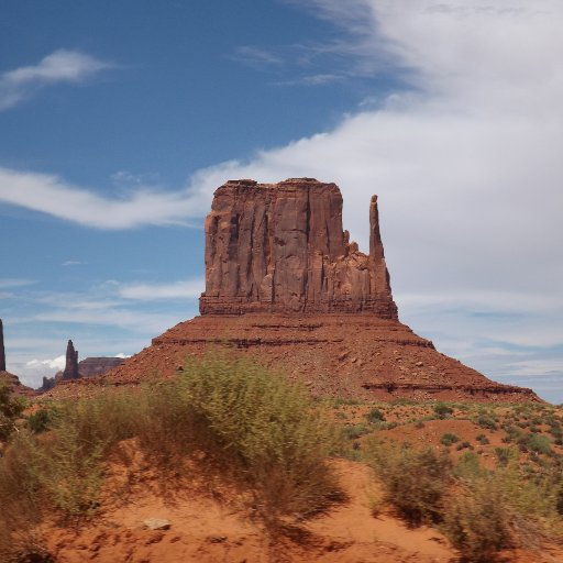 rmbyrdhouse's profile picture. 