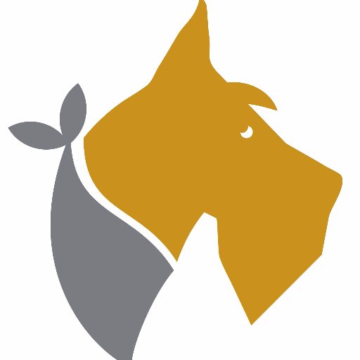 Ancasters first and only dog grooming studio offering a new approach to caring affordable dog grooming. 
clean dog, tidy dog, happy dog, #yellowdog