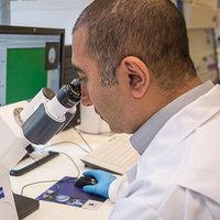 Pouyan Boukany (@pboukany) 's Twitter Profile