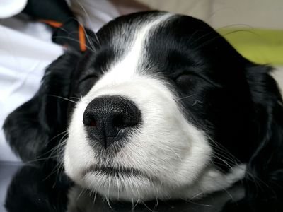 webb_ian's profile picture. 