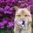 thunderguide's profile image