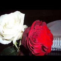 im yemeni (@imyemeni3) 's Twitter Profile Photo im yemeni (@imyemeni3) 's Twitter Profile Photo