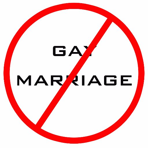 NON AU MARIAGE GAY ! La #ManifPourTous du #16oct 2016 contre le #MariageGay a été un succès fracassant (200 000 participants👍).