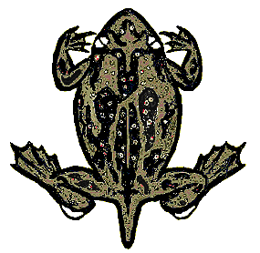 agarmuenster's profile picture. Kleine Haufen Münsteraner Feldherpetologen ...