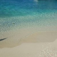 Lori Reese Wilzbach (@lori_wilzbach) 's Twitter Profile