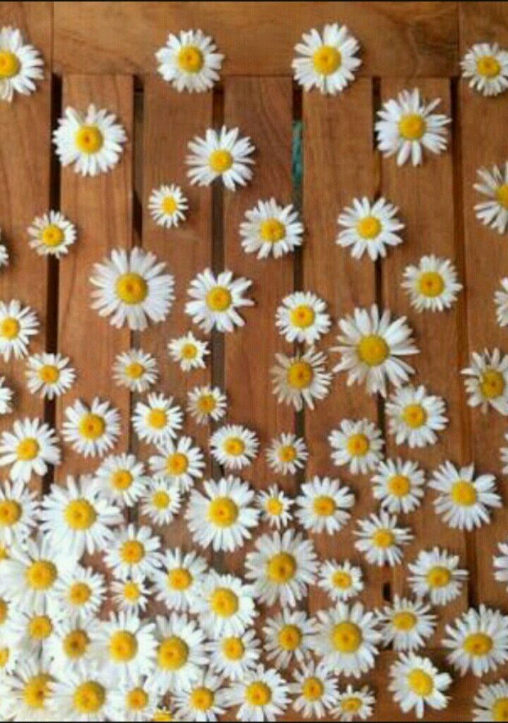 LayMusic10's profile picture. ..