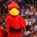 greg wilkins (@gocards1972) Twitter profile photo greg wilkins (@gocards1972) Twitter profile photo