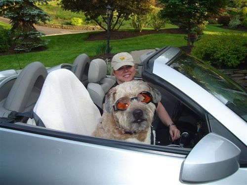 MarionPLewis's profile picture. CEO of Govenda by BoardBookit(https://t.co/eOuwltiQKK)