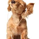 paTrick koch - @paTrick4488 - Twitter