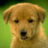 Profile Picture of Andre Connors (@@chankatc) on Twitter