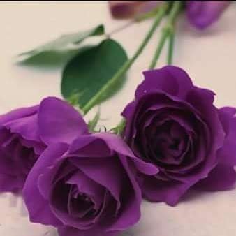 yulia_sc2's profile picture. Bismillah biar Alhamdulillah 🙏