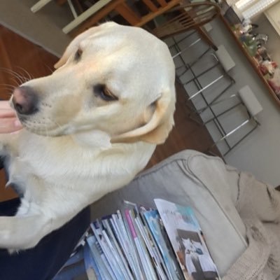 tom77_3's profile picture. 