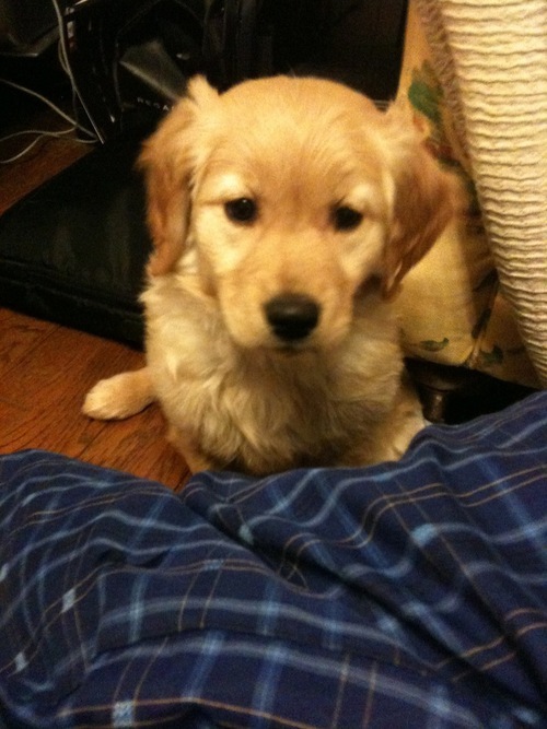 haru0928ty1029's profile picture. 