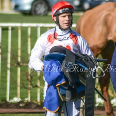 rjthistoll's profile picture. 