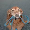 Dave Macrae - @damit56 - Twitter