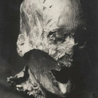 chemicalpandaa's profile picture. I'm a transgender person who's really into watchmojo