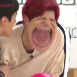 p____cy27's profile picture. “Chanyeol parody ”       8/23･25