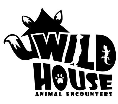 Wild House Animals