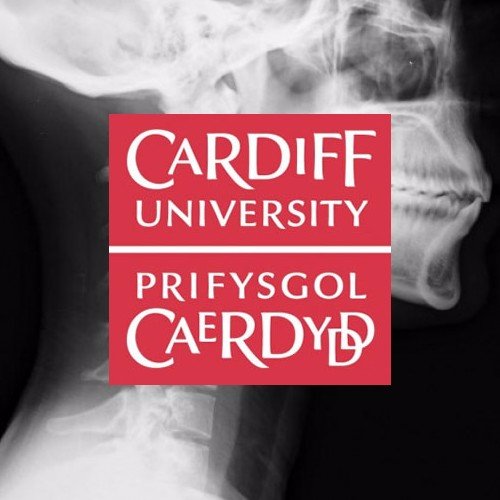 Diagnostic Radiography and Imaging at @cuhealthsci @cardiffuni // Radiografydd Diagnostig @prifysgolcdydd